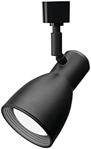 Lithonia Lighting BR20 Double Baffle Head Track Lighting Black