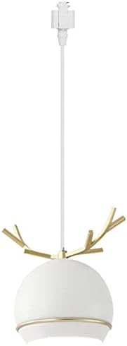 Dimmable Metal Handle Pendant Light 32 Ft