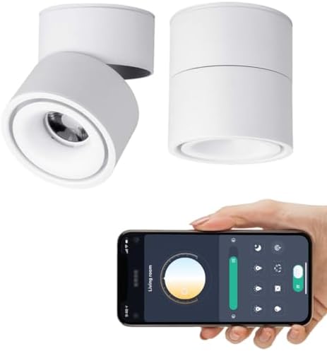 Yodaba Dimmable Smart LED Ceiling Spotlight