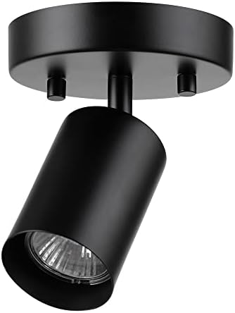 Globe Electric 57498 Matte Black Spot Light