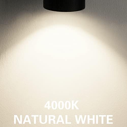 10W H Track Lighting Heads Dimmable LED for Accent Lighting 16Pack