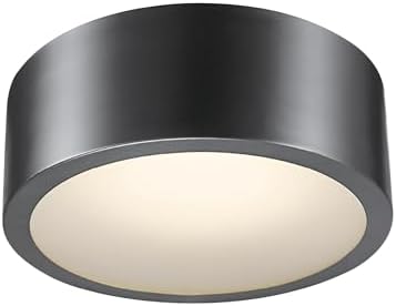 Globe Electric Edinburg LED Flush Mount Ceiling Light Black Iron Finish 1