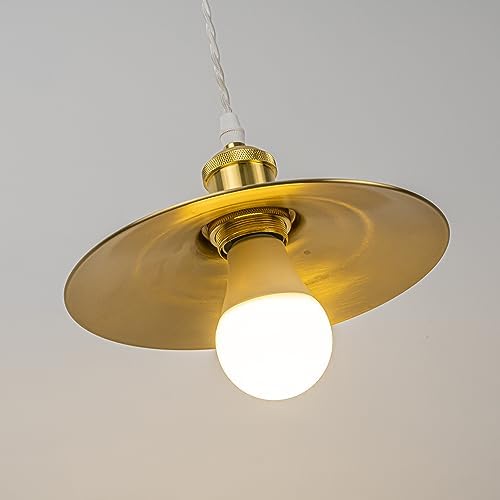 SKIVTGLAMP Stepless Dimming Track Pendant Light 3 Lights