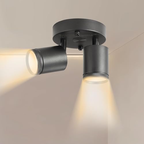 2 Light Dimmable LED Track Light Heads with Remote Control Black