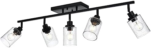 5-Light Track Lighting Fixtures with Seeded Glass Shade