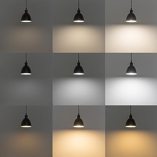 SKIVTGLAMP Adjustable Track Pendant Light with Remote Control