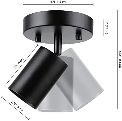 Globe Electric 57498 Matte Black Spot Light