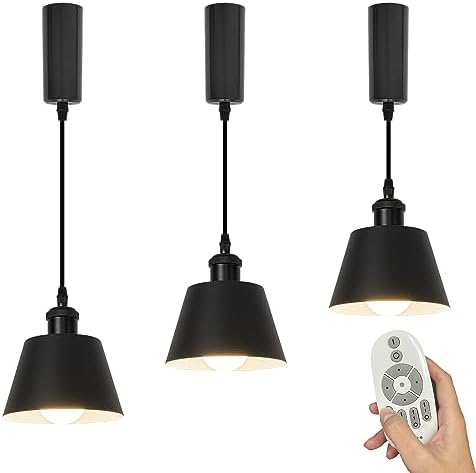 SKIVTGLAMP Remote Control Track Pendant Light with 3 LED Bulbs