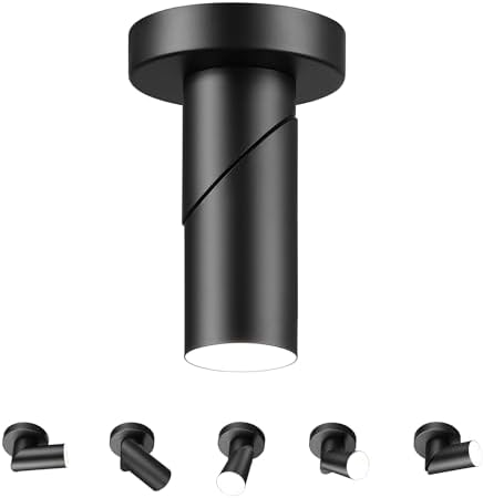 Globe Electric 45 Convertible LED Track Light Matte Black