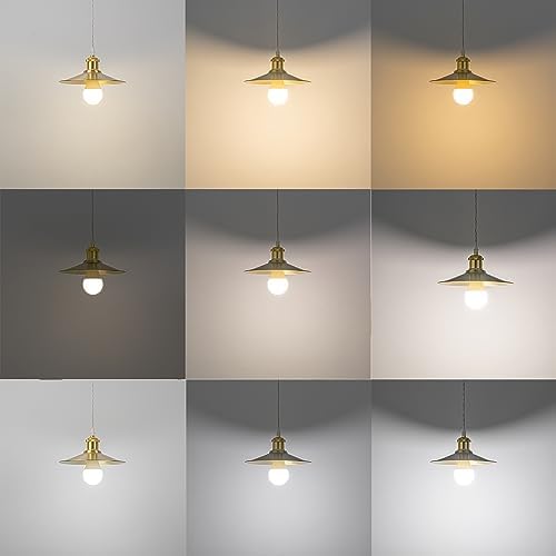 SKIVTGLAMP Stepless Dimming Track Pendant Light 3 Lights