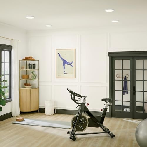 Kichler Ara 902 LED Flush Mount Light in White