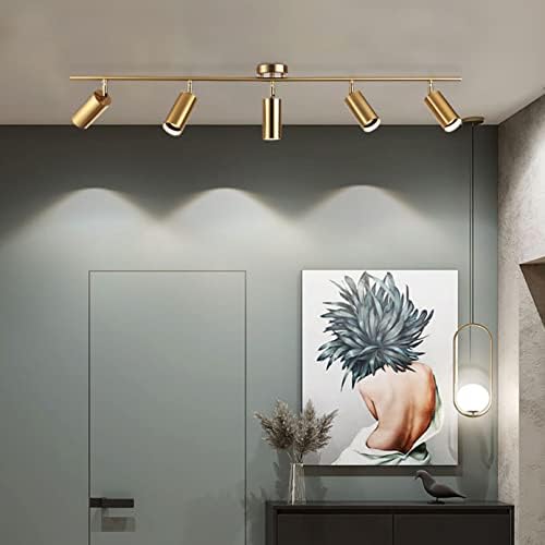 KCO 5-Light LED Track Lighting Kit Brushed Brass 1