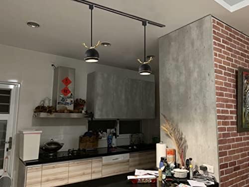 Dimmable Macaron Black Iron Track Pendant Light