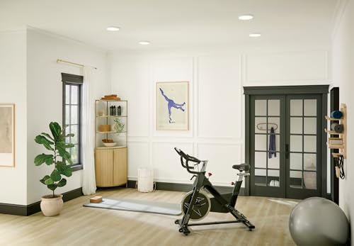 Kichler Ara 902 LED Flush Mount Light in White