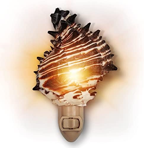 Tumbler Home Shell Night Light - Coastal Decor