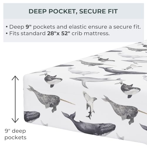 Pobibaby 2 Pack Ocean Crib Sheets for Baby Boy