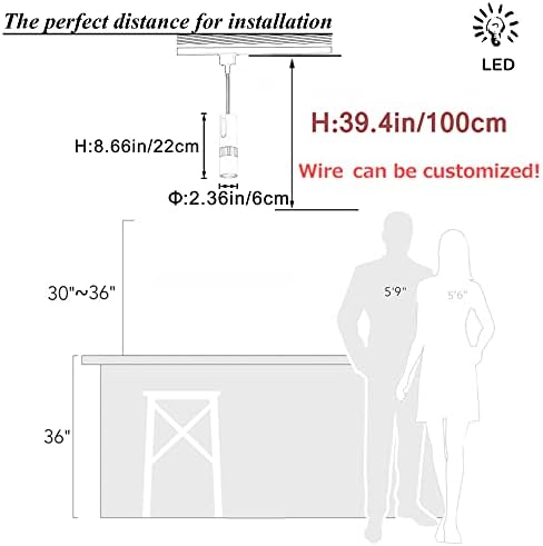 Juno Track Lighting LED Pendant Light 32 Ft Black Iron Adjustable