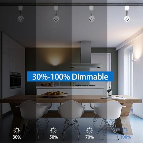 EAGLOD H Track Lighting Heads 10 Pack Dimmable Warm White