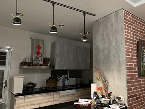 Dimmable Metal Handle Macaron Black Pendant Light