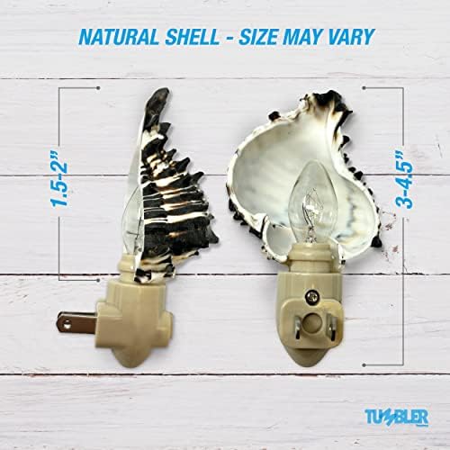 Tumbler Home Shell Night Light - Coastal Decor