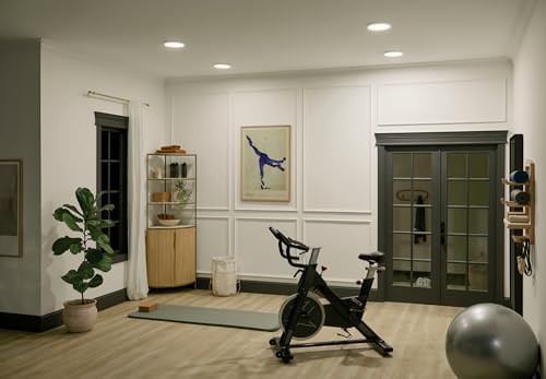 Kichler Ara 902 LED Flush Mount Light in White