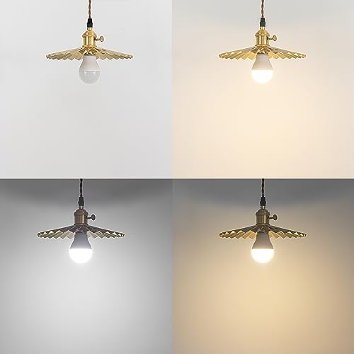 SKIVTGLAMP Remote Control LED Pendant Track Light with Adjustable Height