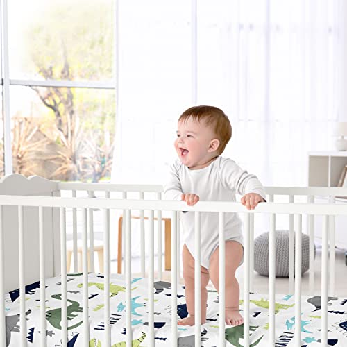 Sweet Jojo Designs Modern Dinosaur Crib Sheet Set 2pc