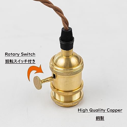 SKIVTGLAMP Remote Control LED Pendant Track Light with Adjustable Height