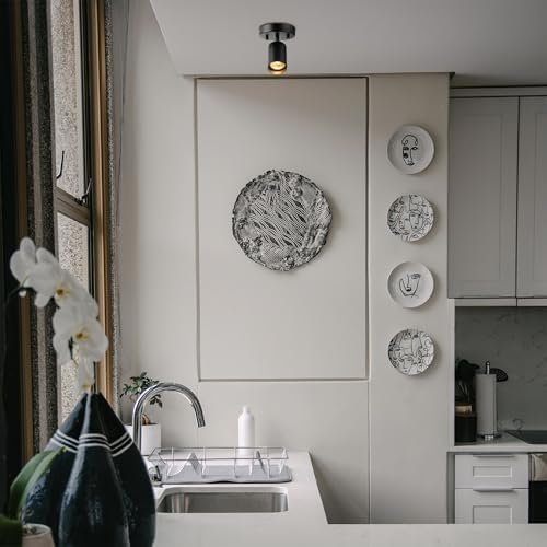 Globe Electric 57498 Matte Black Spot Light