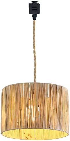 SKIVTGLAMP Dimmable J Type Pendant Light