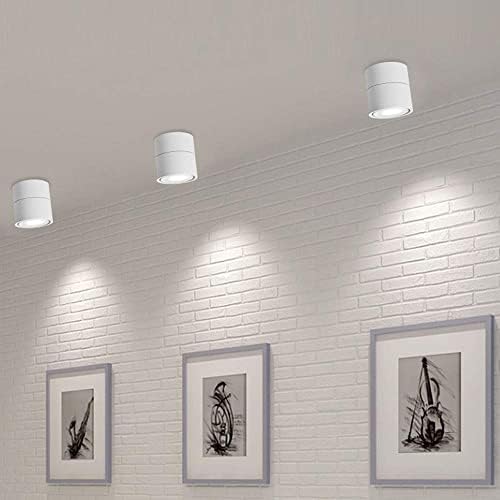 Yodaba Dimmable Smart LED Ceiling Spotlight