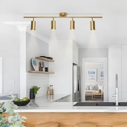 KCO 4-Light Gold LED Track Light Kit Brushed Brass