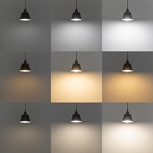SKIVTGLAMP Remote Control Track Pendant Light with 3 LED Bulbs