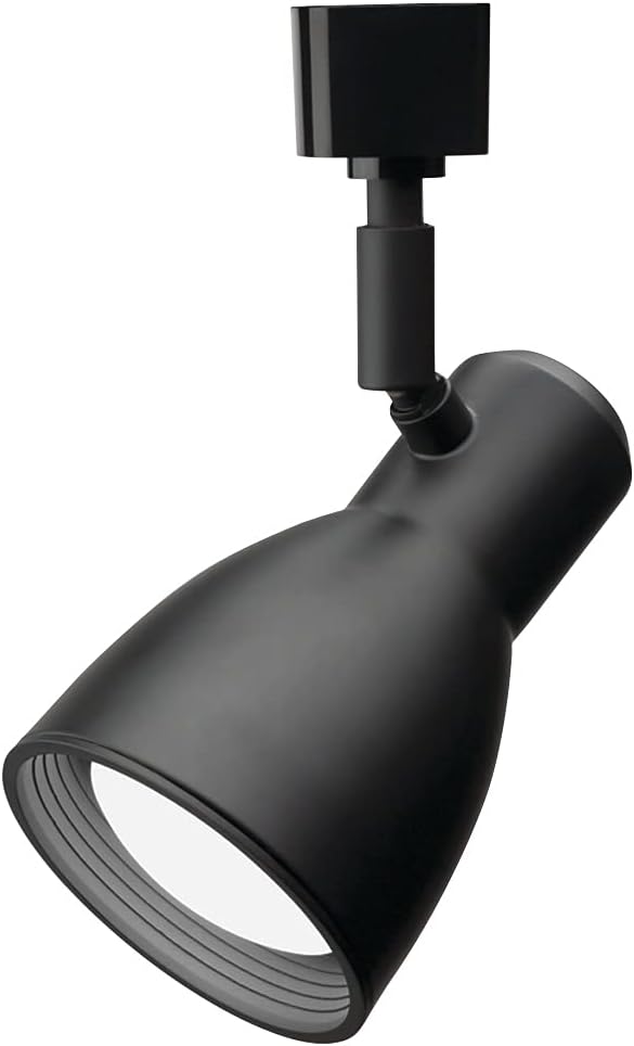 Lithonia Lighting BR20 Double Baffle Head Track Lighting Black