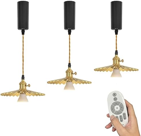 SKIVTGLAMP Remote Control LED Pendant Track Light with Adjustable Height