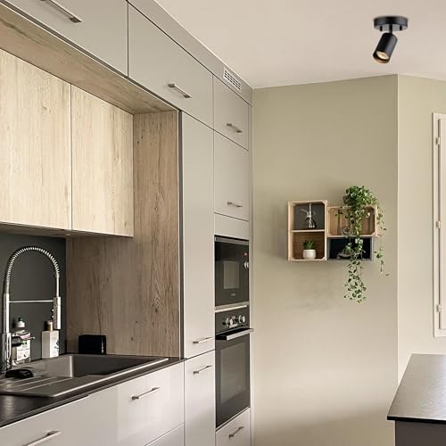 Globe Electric 57498 Matte Black Spot Light