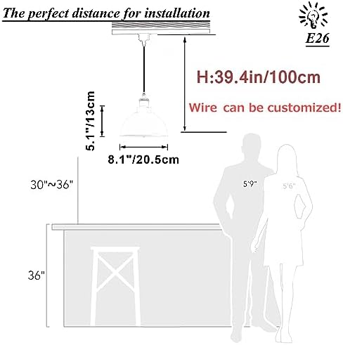 SKIVTGLAMP Modern Black Iron Dome Track Pendant Light