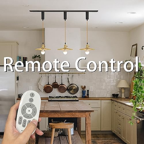SKIVTGLAMP Remote Control LED Pendant Track Light with Adjustable Height