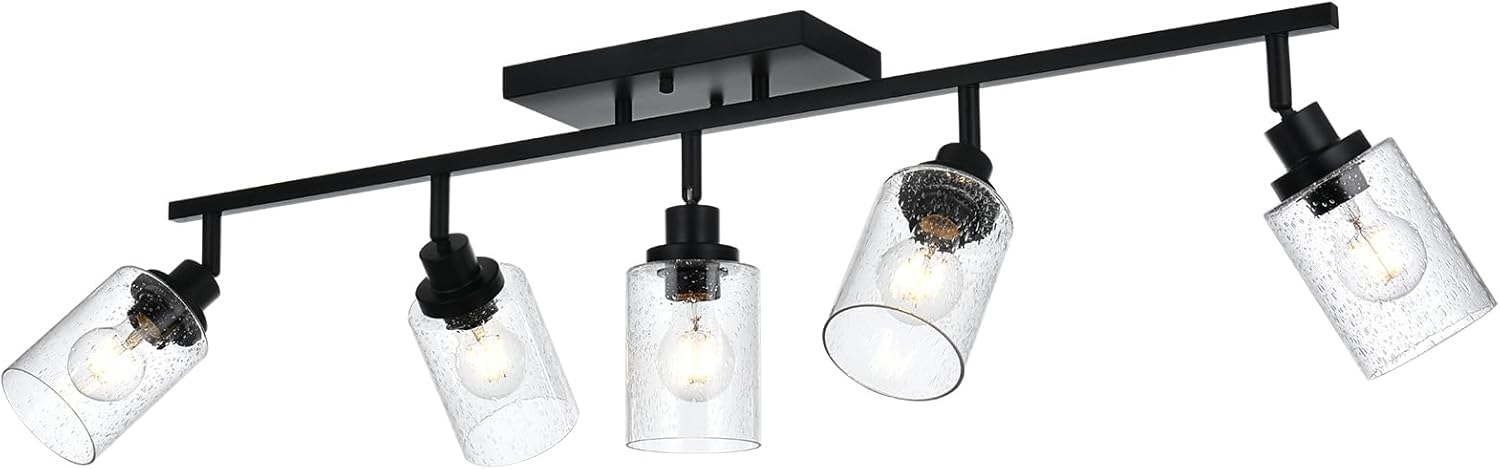 5-Light Track Lighting Fixtures with Seeded Glass Shade