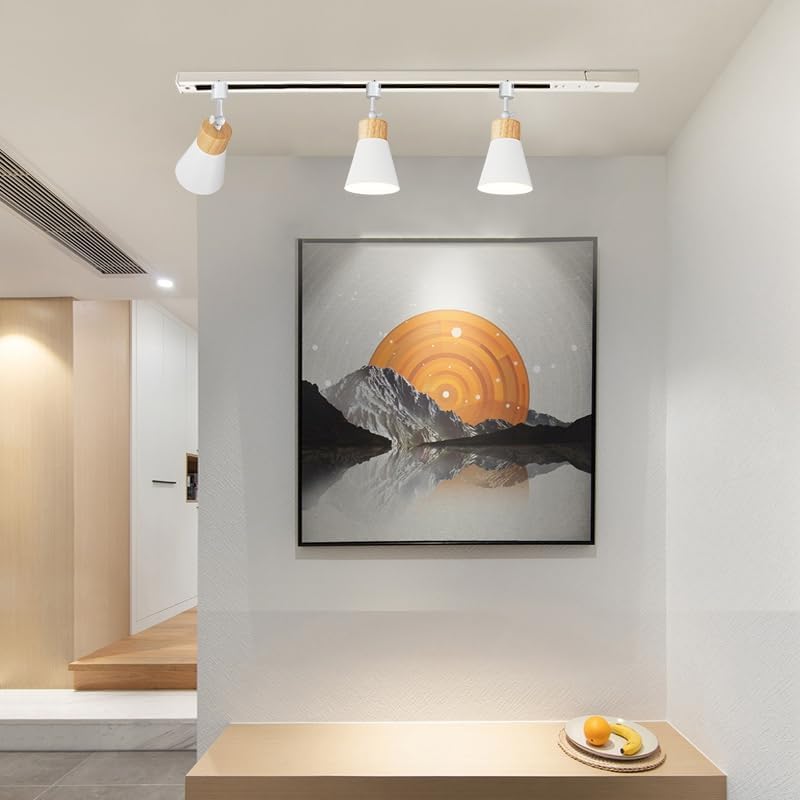 KAYYELAMP Set of Three Track Light Heads with Adjustable Angle and Rotation