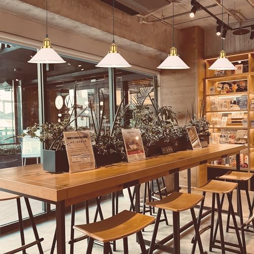 Adjustable Height Halo Track Pendant Light with E26 Socket