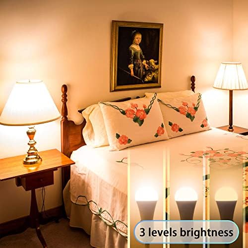 ChipHy Light Bulbs 3 Level Brightness 2700K Warm White 2-Packs