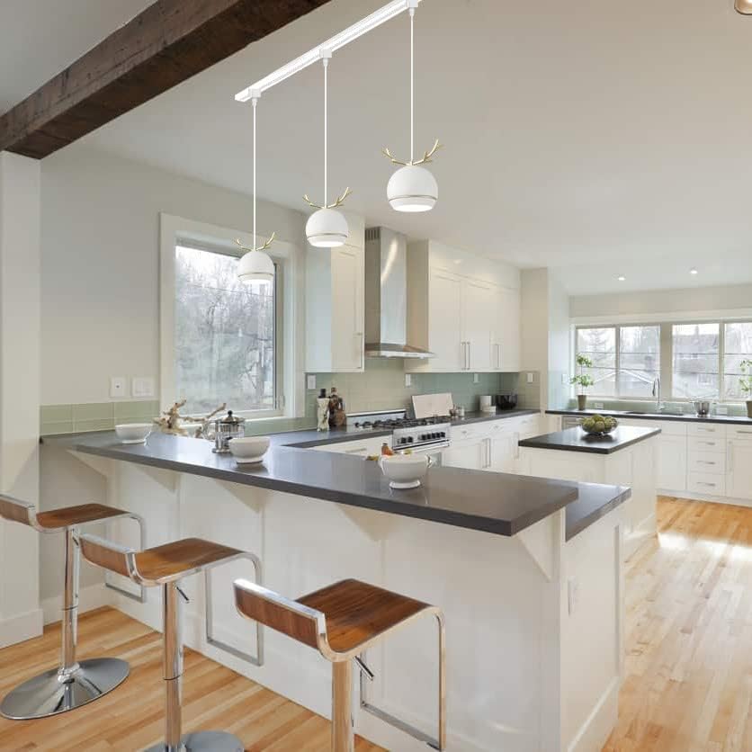 Dimmable Metal Handle Pendant Light 32 Ft