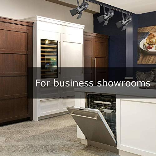 JLUMI TRK9000 Track Light Head with Flippers Black Frost Finish 1