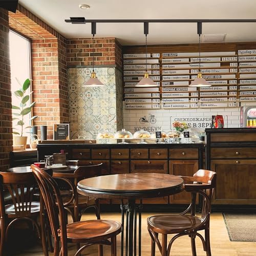 Adjustable Height Juno Track Pendant Lights in Antique Brass