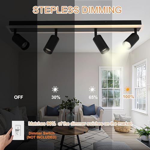 TODOLUZ 5-Light LED Track Light Fixture Black Matte Cylindrical Shades