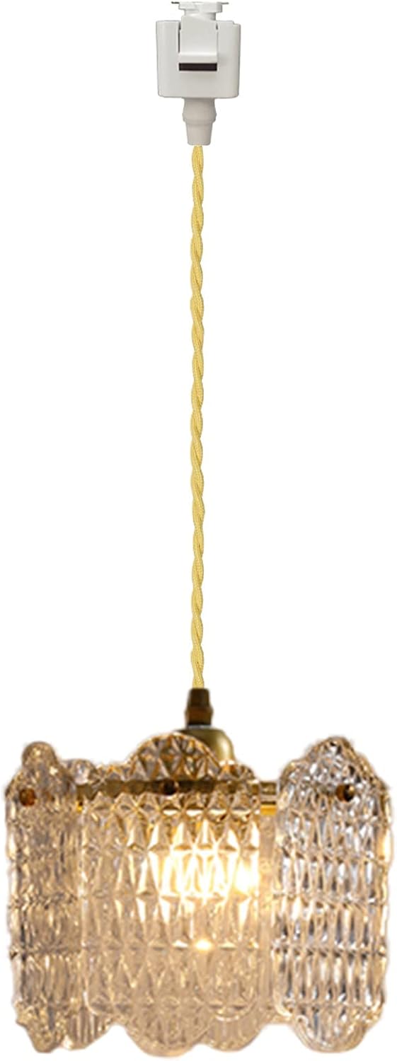 SKIVTGLAMP Dimmable Metal Handle Pendant Light 32 Ft