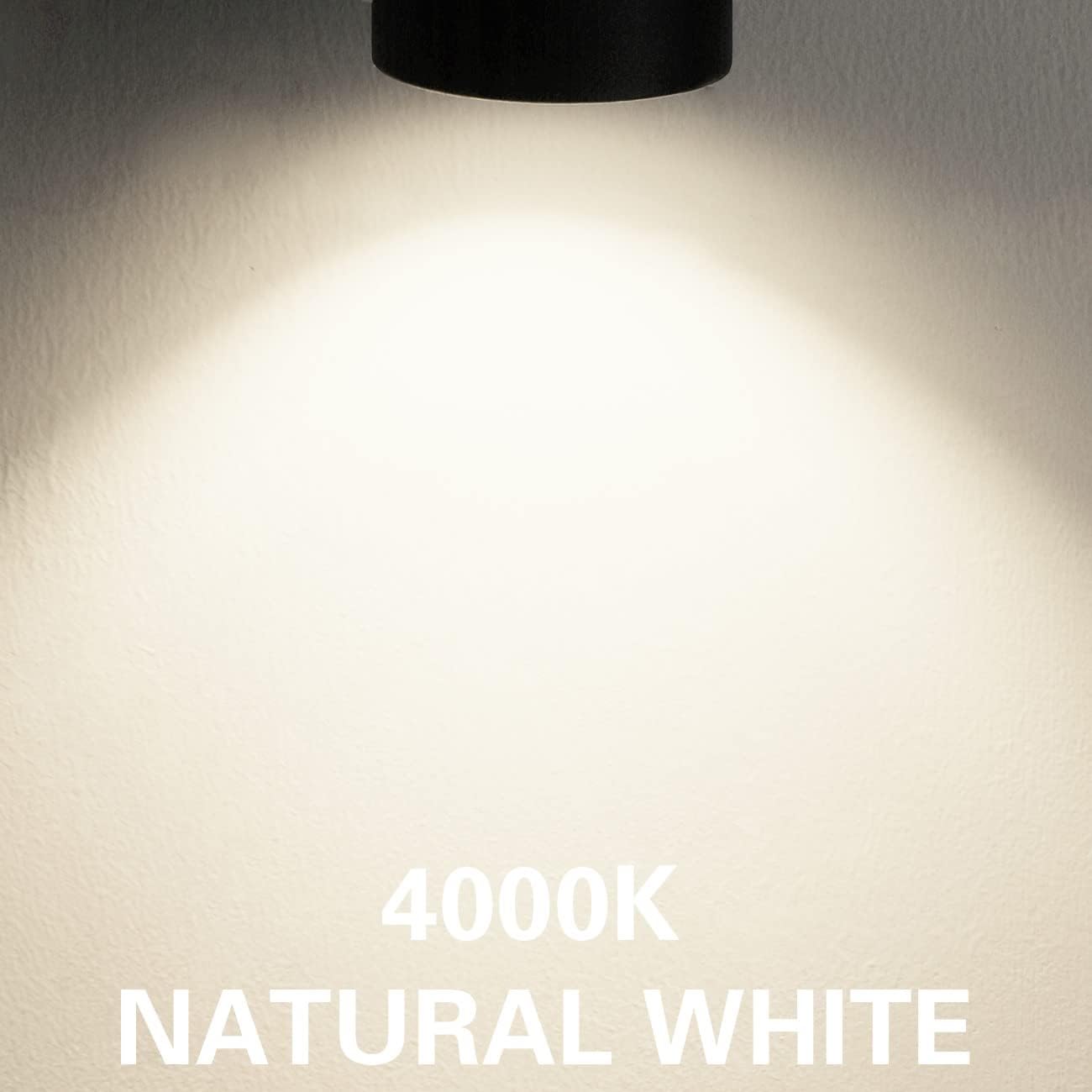 10W H Track Lighting Heads Dimmable LED for Accent Lighting 16Pack