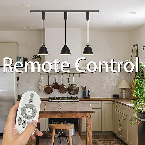 SKIVTGLAMP Remote Control Track Pendant Light with 3 LED Bulbs
