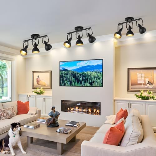 MUEOF Industrial 3-Light Track Lighting Black Ceiling Spotlight